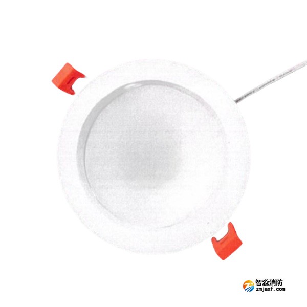 海灣HW-ZFJC-E6W-YN651集中電源集中控制型消防應急照明燈具 6W嵌頂式