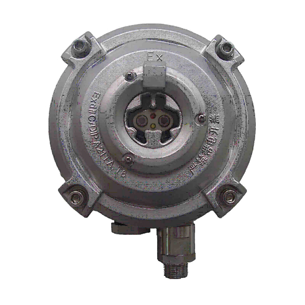 海灣D-9107R防爆點型紅外火焰探測器